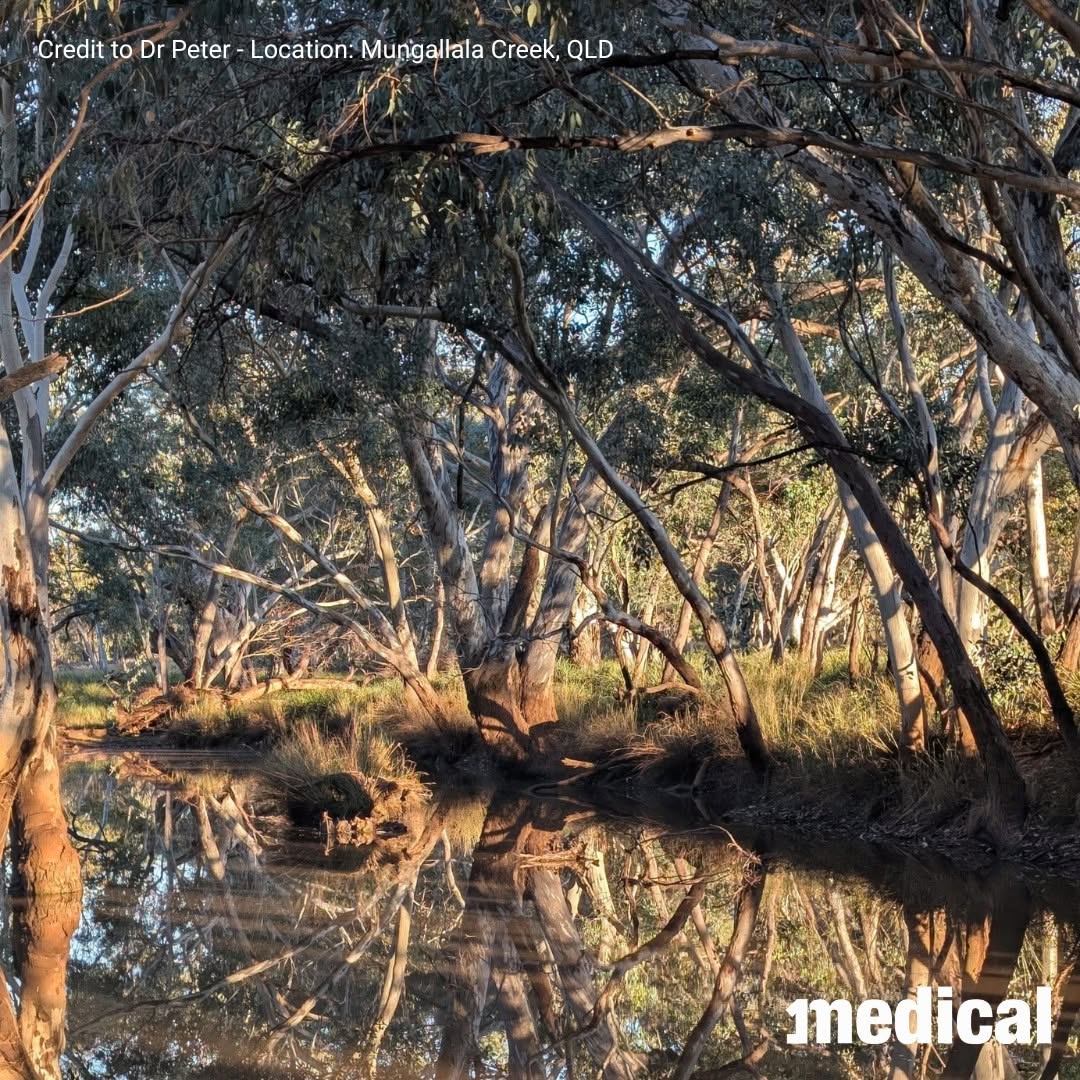 Dr Peter took this picture during his locum placements whilst working in Queensland. 1Medical doctors, send in your locu...