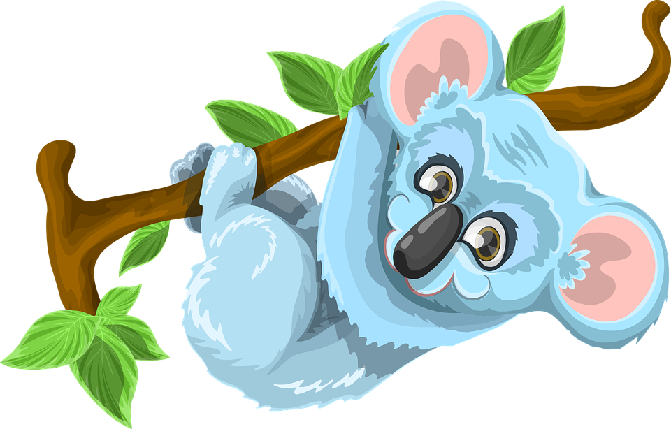 Meet Baz the Koala Listing Image